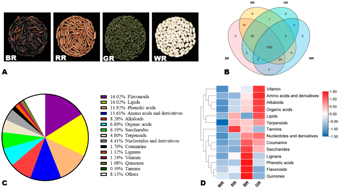 Morphology and variation of metabolites in the four different colored rice grains